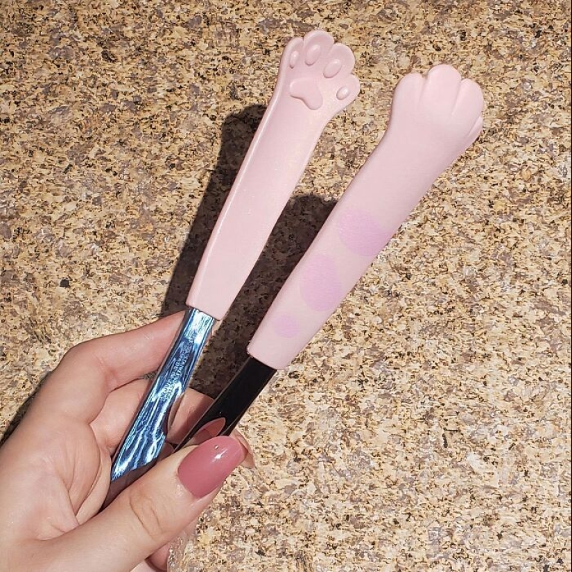 Ciencia curiosa en la cocina: 15 herramientas extrañas que son realmente geniales