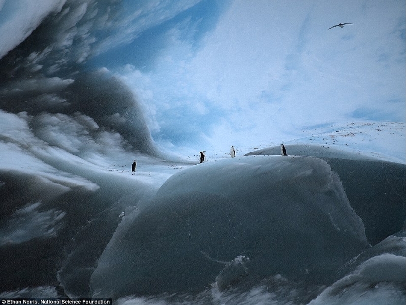 Cómo se ven los icebergs más antiguos del mundo