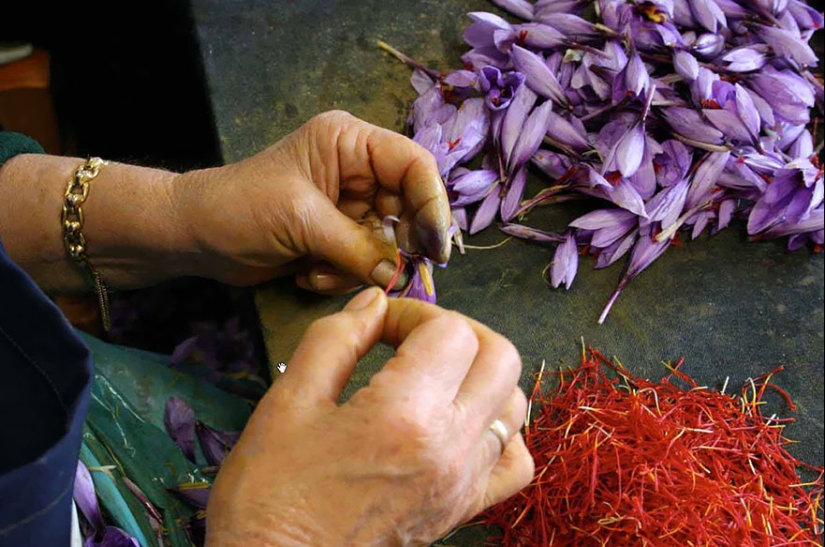 Cómo se ven los productos populares antes de la cosecha