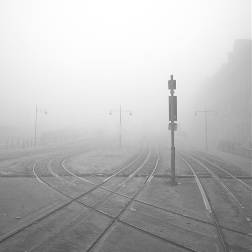 Conozca a los ganadores: 25 imágenes de los premios de la revista All About Photo: Shapes 2024