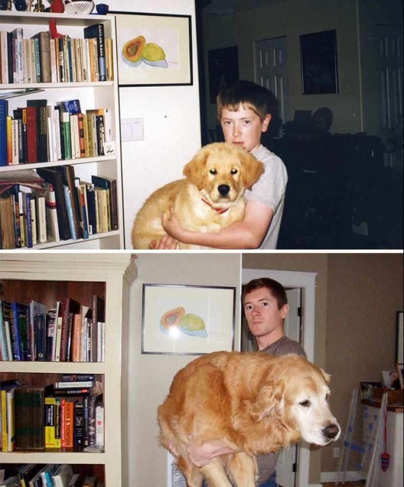 Crecidos juntos: Perros y sus dueños al comienzo de la amistad y después de muchos años