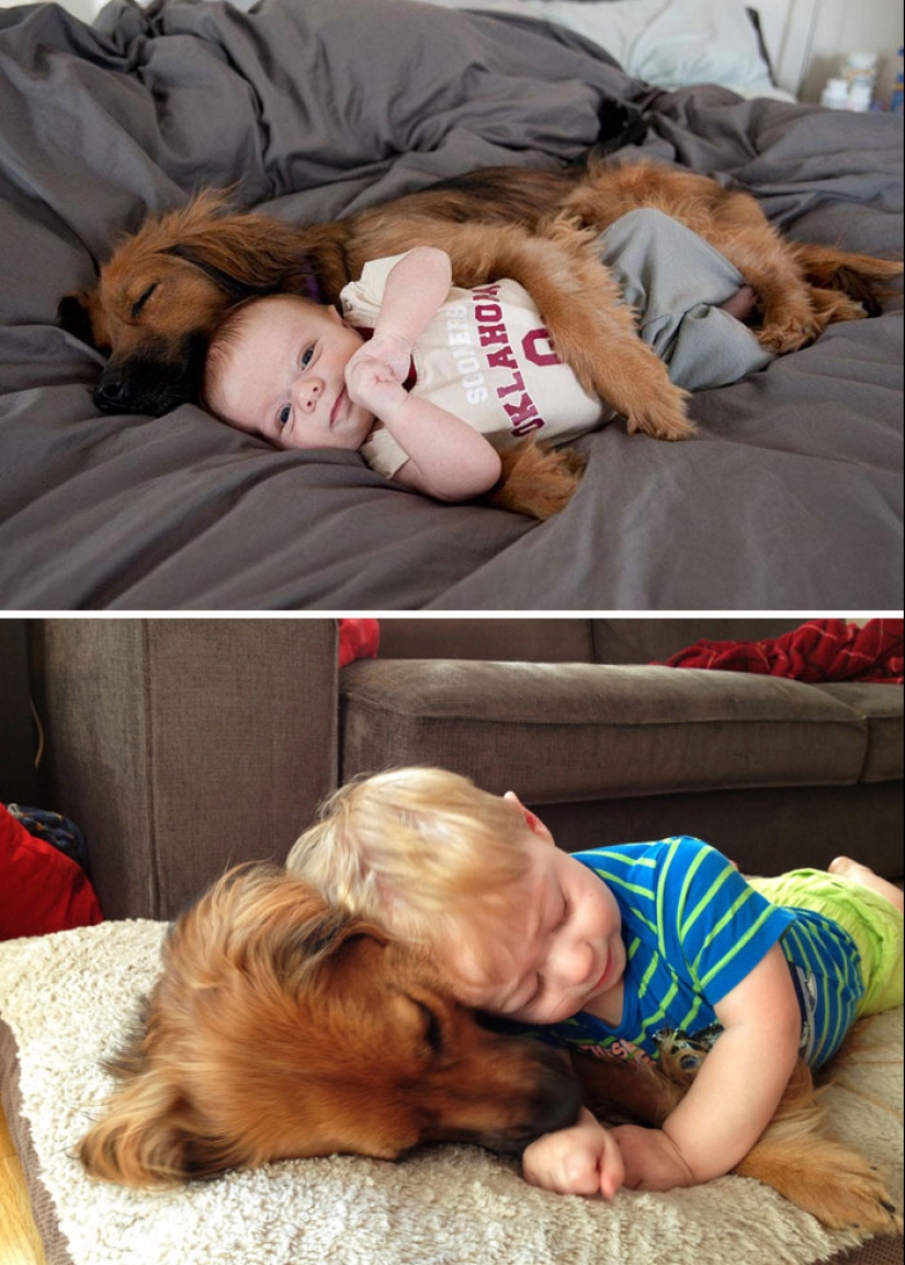 Crecidos juntos: Perros y sus dueños al comienzo de la amistad y después de muchos años