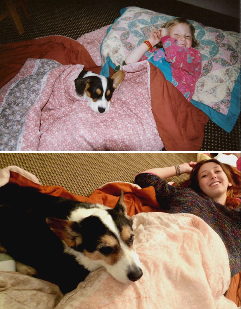 Crecidos juntos: Perros y sus dueños al comienzo de la amistad y después de muchos años
