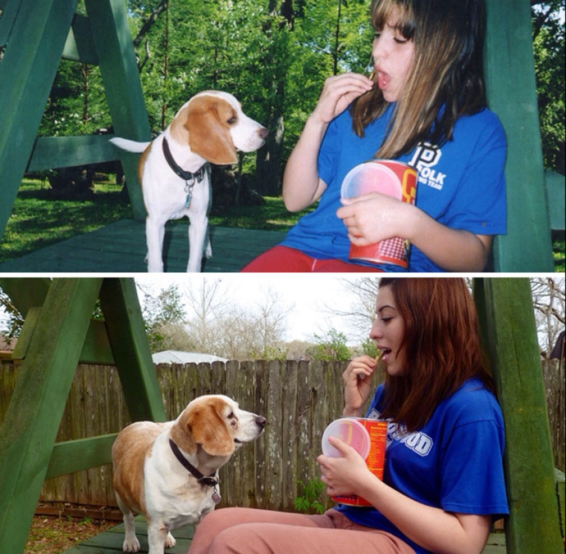 Crecidos juntos: Perros y sus dueños al comienzo de la amistad y después de muchos años