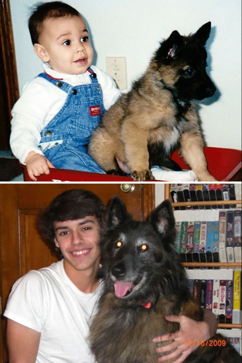 Crecidos juntos: Perros y sus dueños al comienzo de la amistad y después de muchos años