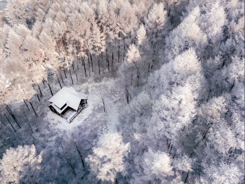 Cuento de hadas de nieve: invierno increíblemente hermoso en Japón