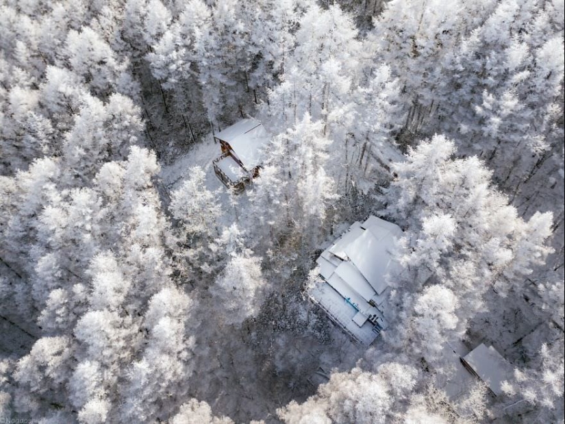 Cuento de hadas de nieve: invierno increíblemente hermoso en Japón