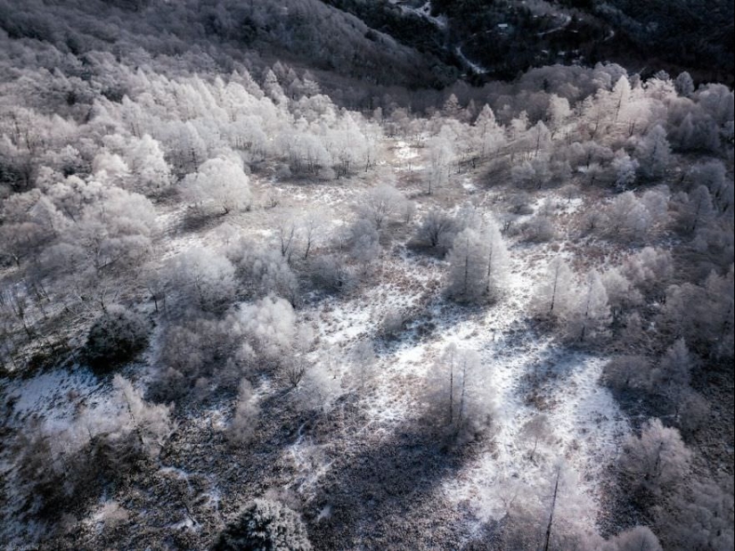 Cuento de hadas de nieve: invierno increíblemente hermoso en Japón