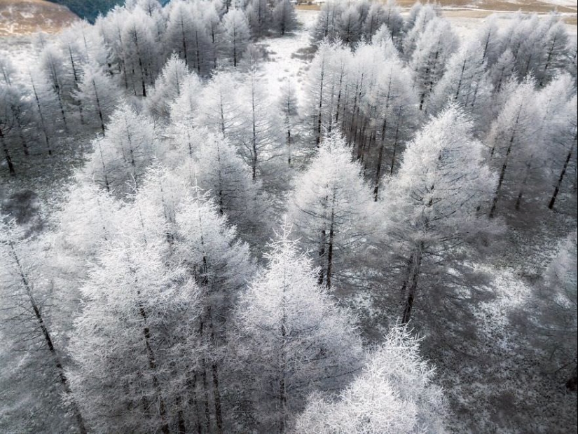 Cuento de hadas de nieve: invierno increíblemente hermoso en Japón