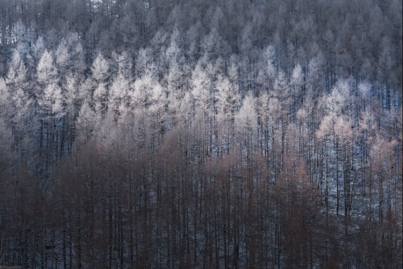Cuento de hadas de nieve: invierno increíblemente hermoso en Japón