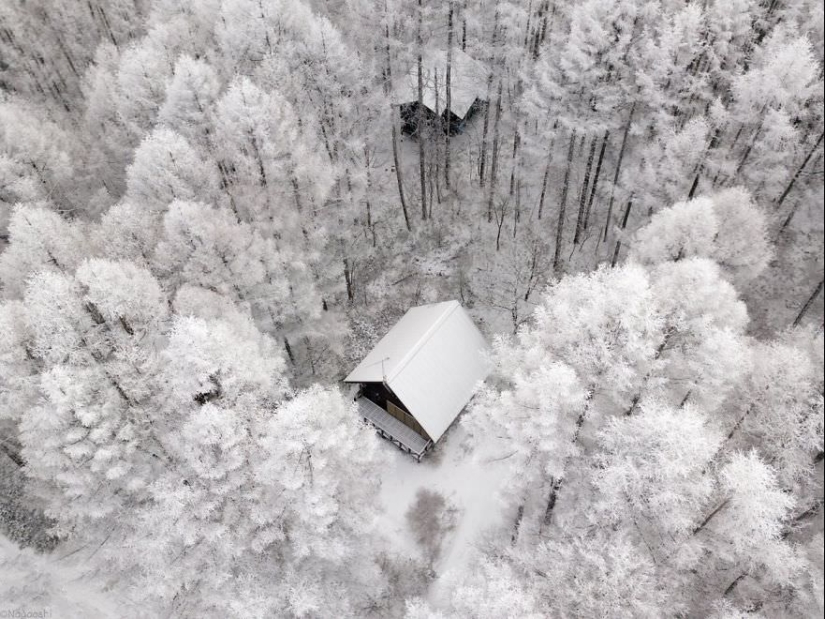 Cuento de hadas de nieve: invierno increíblemente hermoso en Japón