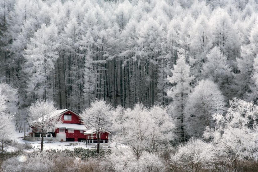 Cuento de hadas de nieve: invierno increíblemente hermoso en Japón