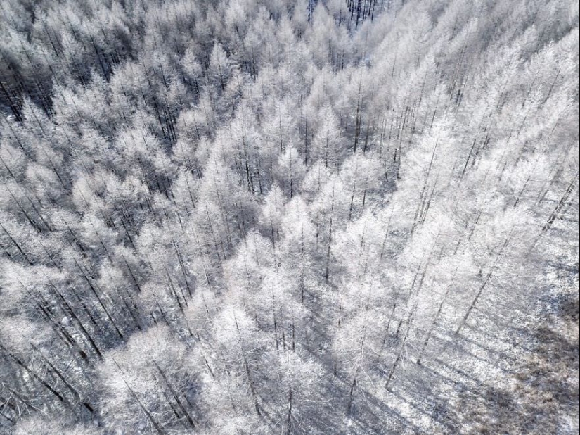 Cuento de hadas de nieve: invierno increíblemente hermoso en Japón