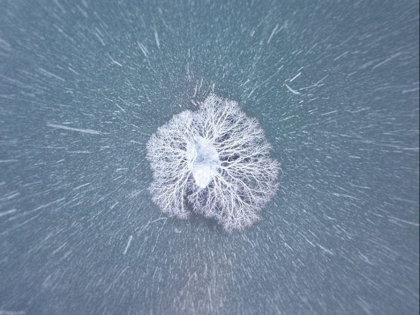 Cuento de hadas de nieve: invierno increíblemente hermoso en Japón