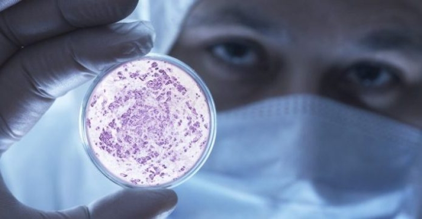 Dangerous parasites and infections that lie in wait for bathers in our reservoirs Dangerous parasites and infections that lie in wait for bathers in our reservoirs