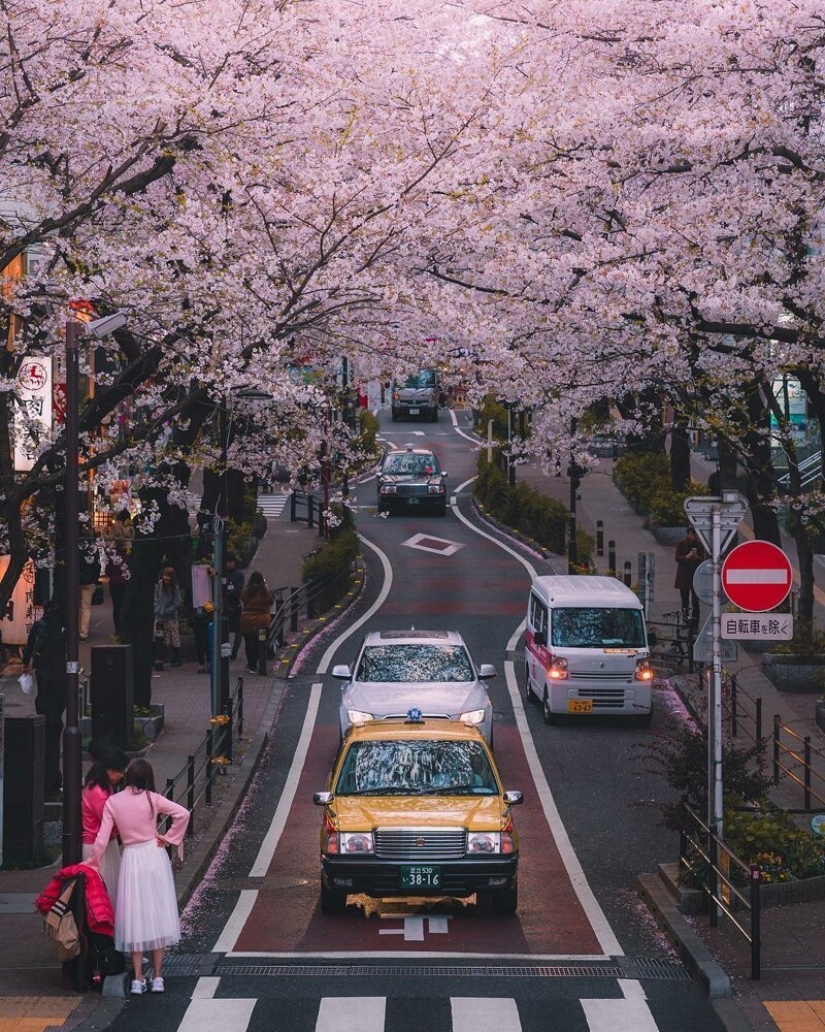 De noche y de día: impresionantes paisajes de la ciudad de Japón