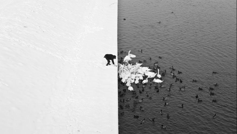 Delightful winter landscapes