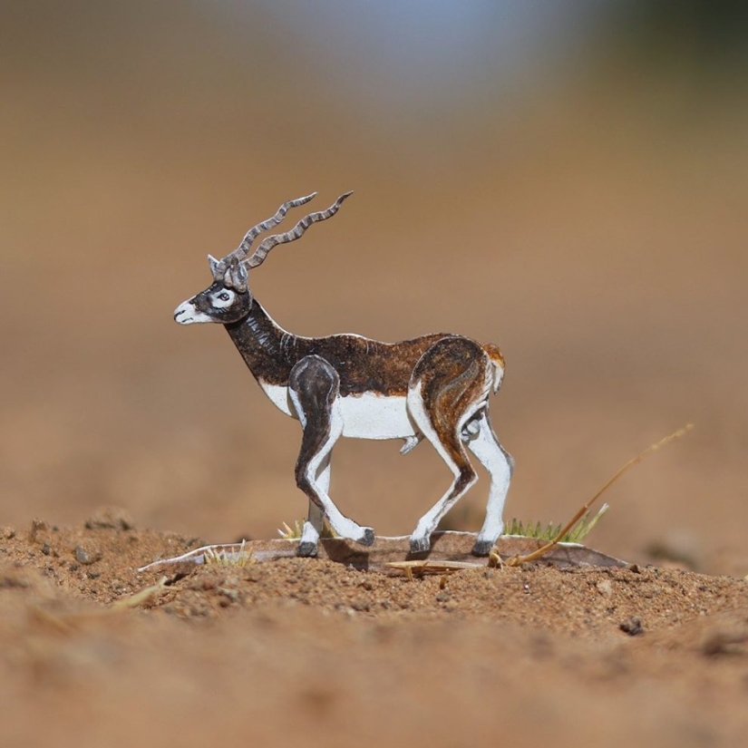 Desafío 1000 días-pequeños animales de papel de artistas de la India Desafío 1000 días-pequeños animales de papel de artistas de la India