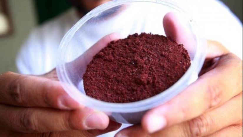 Desagradable apetito, o 7 repugnante hechos acerca de los alimentos que usted apenas tiene que saber Desagradable apetito, o 7 repugnante hechos acerca de los alimentos que usted apenas tiene que saber