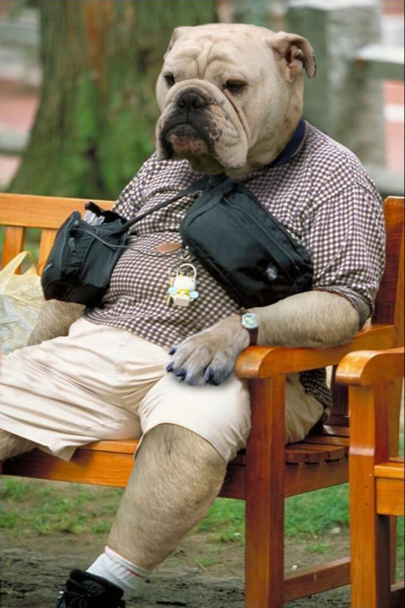Designers Were Challenged To Dress-Up Animals In Human Clothing, Here Is How It Went Designers Were Challenged To Dress-Up Animals In Human Clothing, Here Is How It Went