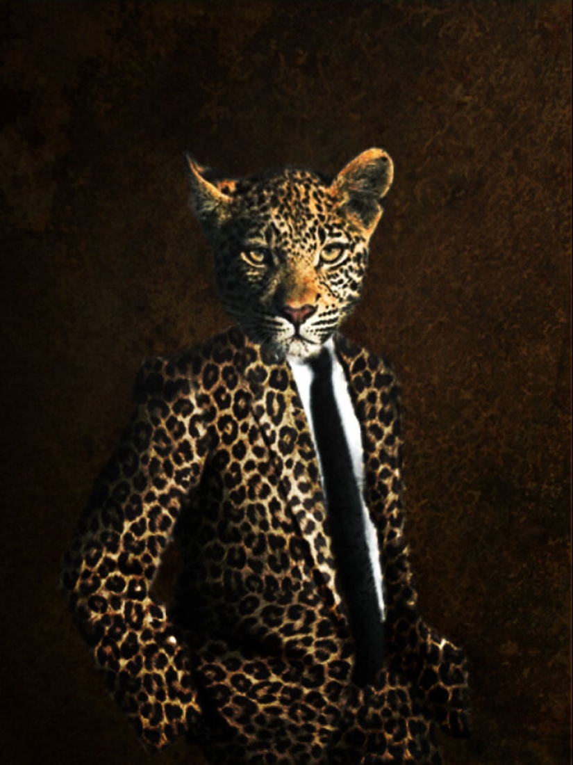 Designers Were Challenged To Dress-Up Animals In Human Clothing, Here Is How It Went Designers Were Challenged To Dress-Up Animals In Human Clothing, Here Is How It Went