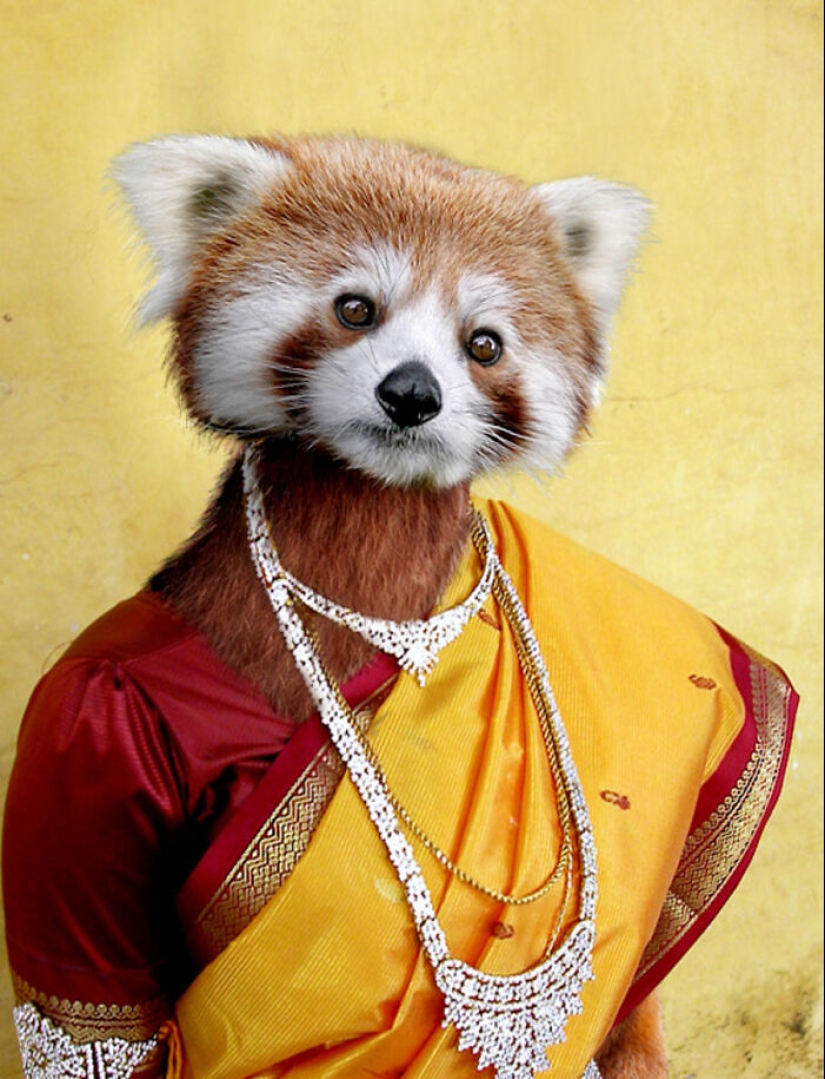 Designers Were Challenged To Dress-Up Animals In Human Clothing, Here Is How It Went Designers Were Challenged To Dress-Up Animals In Human Clothing, Here Is How It Went