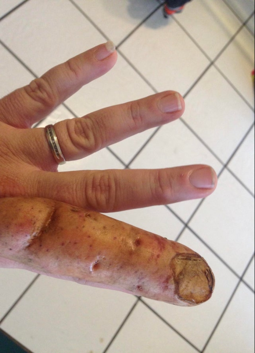 Did it seem? 22 photos of things that look like other things Did it seem? 22 photos of things that look like other things