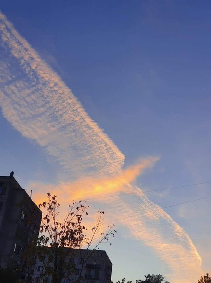 Did it seem? 22 photos of things that look like other things Did it seem? 22 photos of things that look like other things