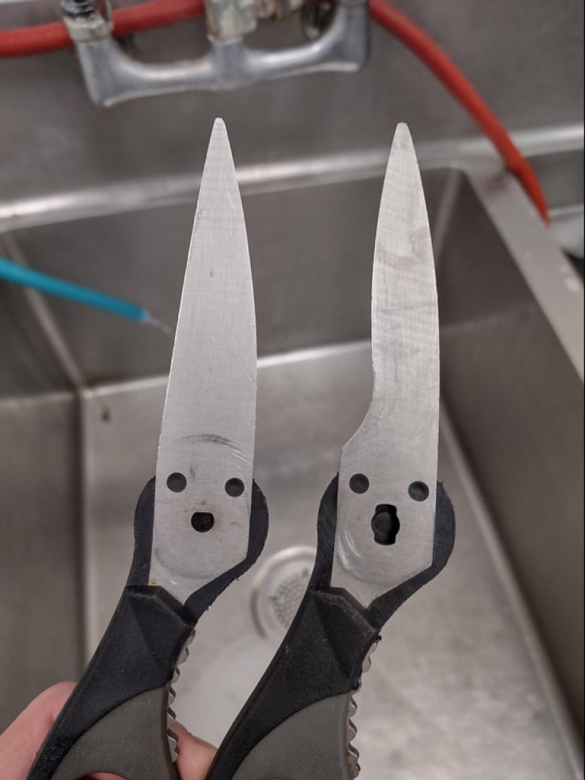 Did it seem? 22 photos of things that look like other things Did it seem? 22 photos of things that look like other things
