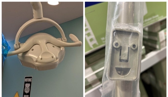 Did it seem? 22 photos of things that look like other things