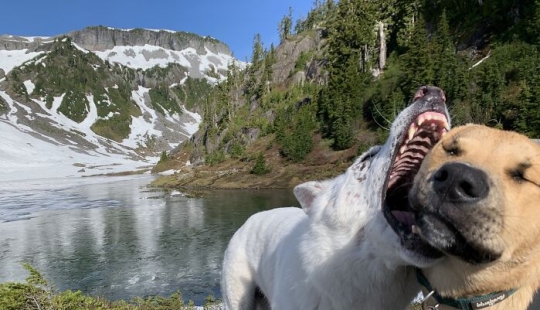 Diez fotografías de un desastre esperando a la vuelta de la esquina, compartidas por personas en línea