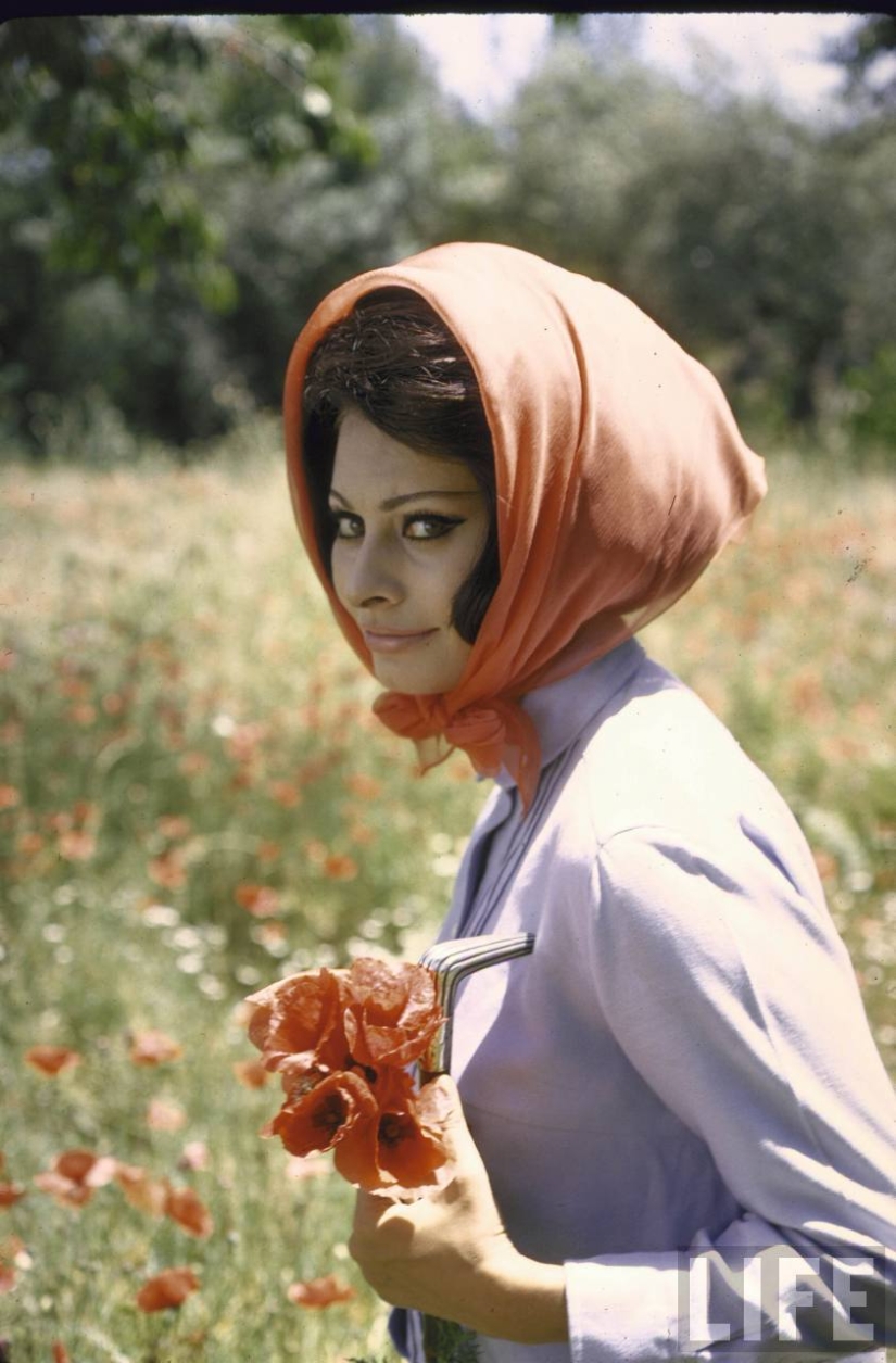 Dolce vita: unknown photos of a young Sophia Loren in a luxury villa