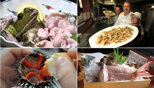 Eat the living: 10 of the most sadistic dishes in the world Eat the living: 10 of the most sadistic dishes in the world