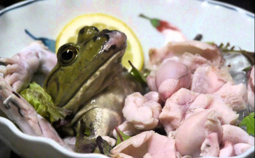 Eat the living: 10 of the most sadistic dishes in the world Eat the living: 10 of the most sadistic dishes in the world