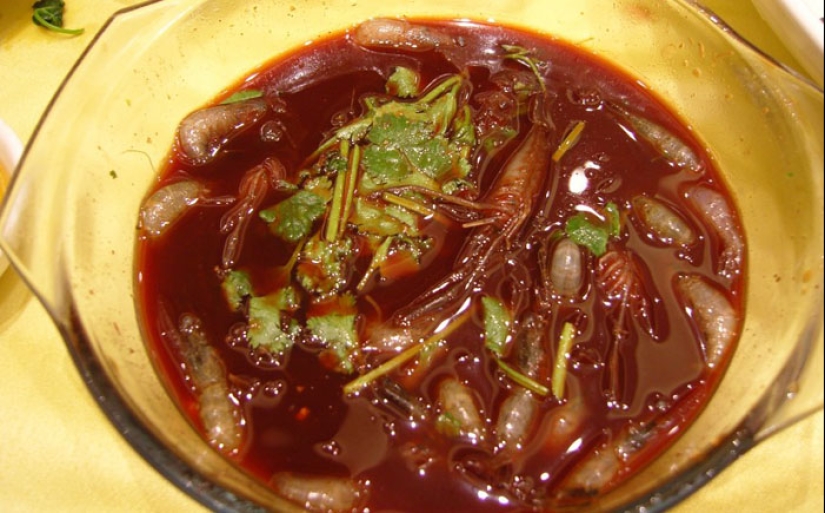 Eat the living: 10 of the most sadistic dishes in the world Eat the living: 10 of the most sadistic dishes in the world
