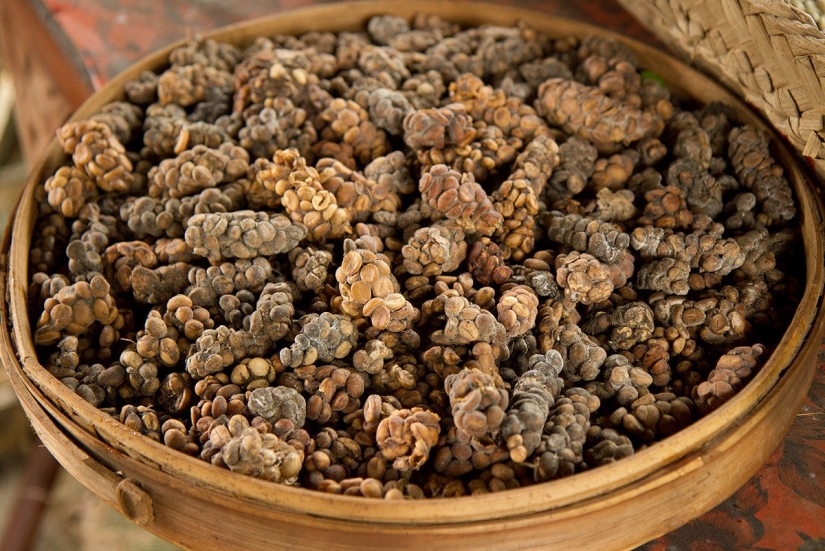 Edible "Inedible" Rating: 6 most disgusting delicacies from Asia Edible "Inedible" Rating: 6 most disgusting delicacies from Asia