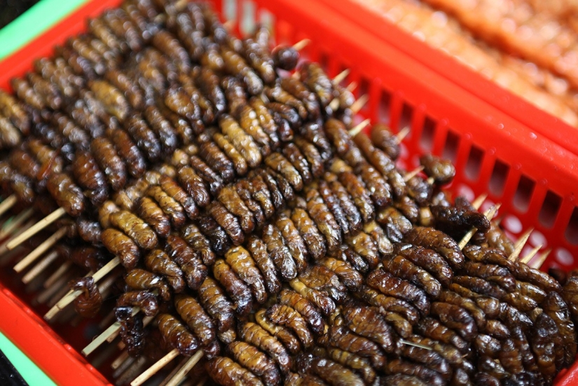 Edible "Inedible" Rating: 6 most disgusting delicacies from Asia Edible "Inedible" Rating: 6 most disgusting delicacies from Asia