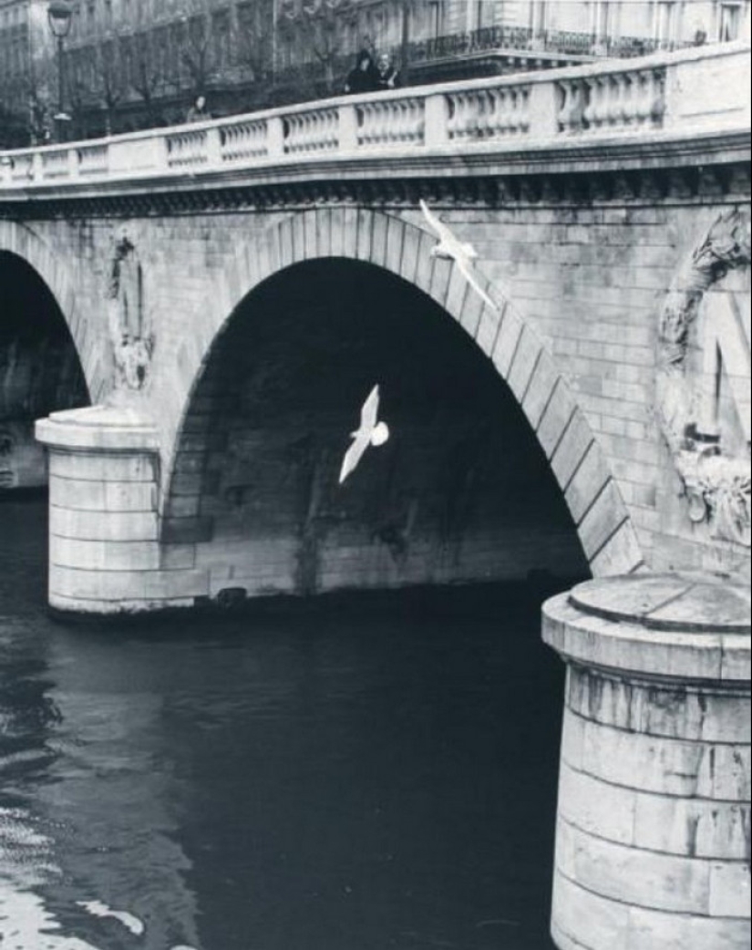El fotógrafo Izis Bidermanas: "Esto no es París y no a la antigua, pero a mi solo"