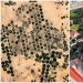 El mundo virtual: el 30 de lugares interesantes de Google Earth El mundo virtual: el 30 de lugares interesantes de Google Earth