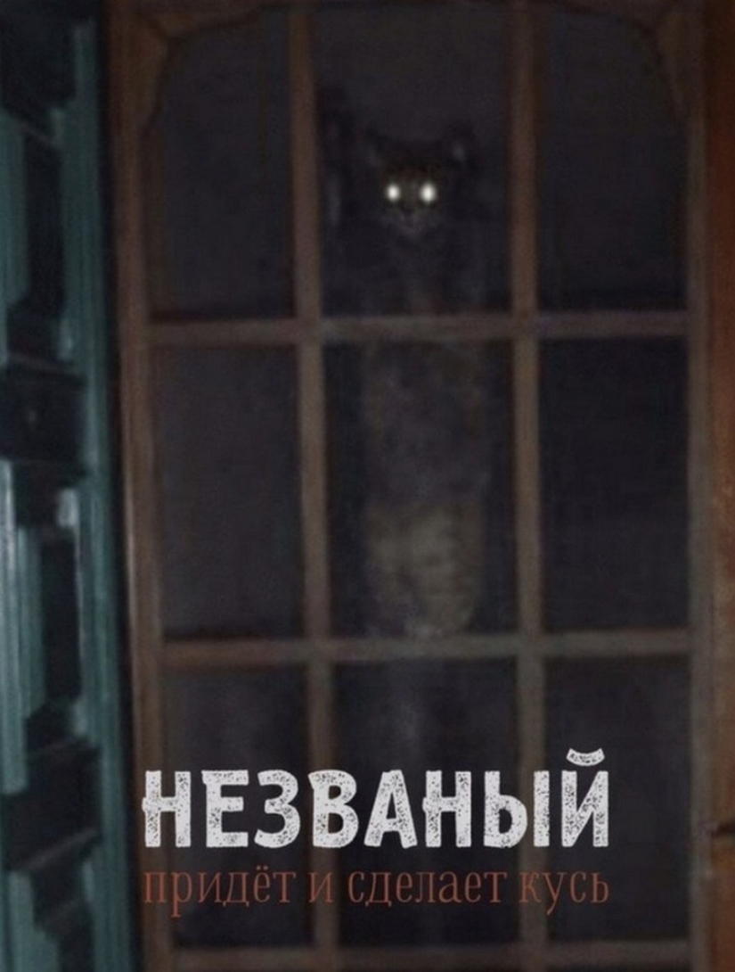 El Señor se lleva la última de las bandejas de Kus! Carteles de éxitos de taquilla con los gatos en los papeles principales El Señor se lleva la última de las bandejas de Kus! Carteles de éxitos de taquilla con los gatos en los papeles principales