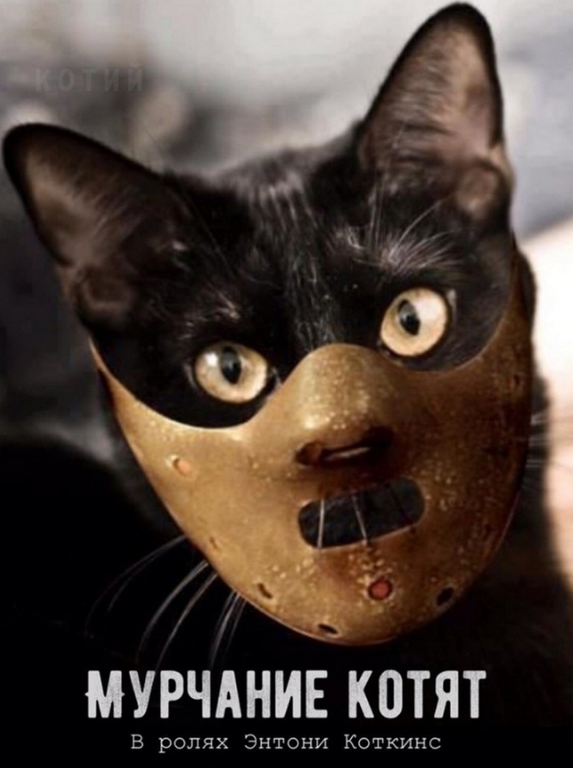 El Señor se lleva la última de las bandejas de Kus! Carteles de éxitos de taquilla con los gatos en los papeles principales El Señor se lleva la última de las bandejas de Kus! Carteles de éxitos de taquilla con los gatos en los papeles principales