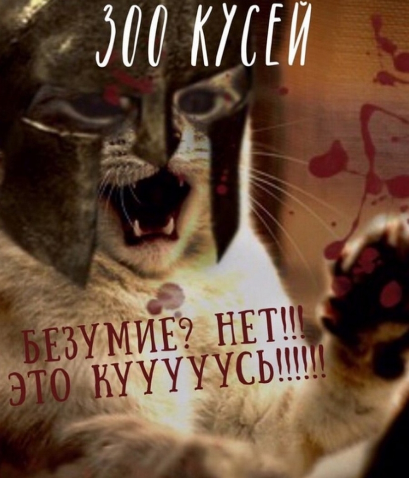 El Señor se lleva la última de las bandejas de Kus! Carteles de éxitos de taquilla con los gatos en los papeles principales El Señor se lleva la última de las bandejas de Kus! Carteles de éxitos de taquilla con los gatos en los papeles principales