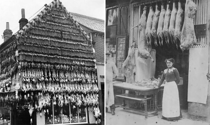 El tiempo de los frigoríficos: una carnicería en la Inglaterra Victoriana El tiempo de los frigoríficos: una carnicería en la Inglaterra Victoriana