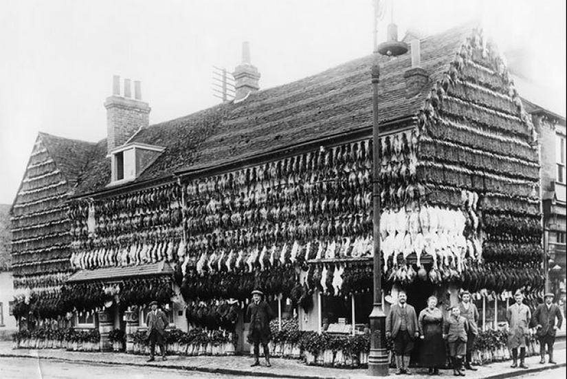 El tiempo de los frigoríficos: una carnicería en la Inglaterra Victoriana El tiempo de los frigoríficos: una carnicería en la Inglaterra Victoriana