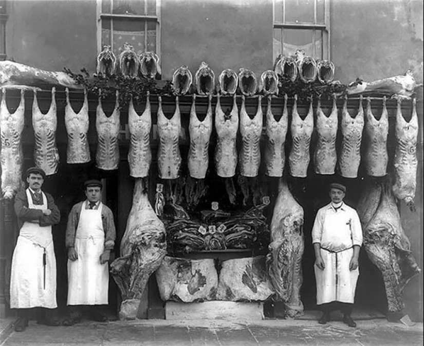 El tiempo de los frigoríficos: una carnicería en la Inglaterra Victoriana El tiempo de los frigoríficos: una carnicería en la Inglaterra Victoriana