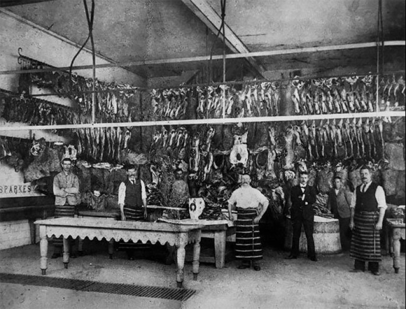 El tiempo de los frigoríficos: una carnicería en la Inglaterra Victoriana El tiempo de los frigoríficos: una carnicería en la Inglaterra Victoriana