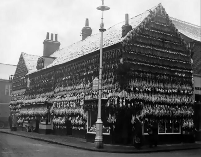 El tiempo de los frigoríficos: una carnicería en la Inglaterra Victoriana El tiempo de los frigoríficos: una carnicería en la Inglaterra Victoriana