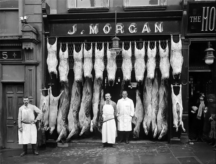 El tiempo de los frigoríficos: una carnicería en la Inglaterra Victoriana El tiempo de los frigoríficos: una carnicería en la Inglaterra Victoriana