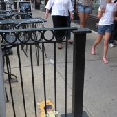 En las calles de la ciudad de Ann arbor se establecieron divertidos dibujos animados de la compañía