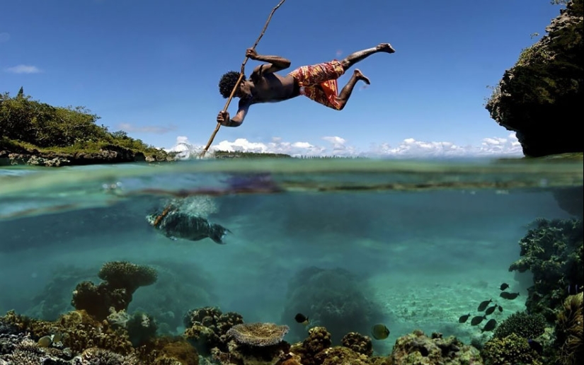 Entre dos mundos: estas fotos semi-submarinas muestran lo que te espera detrás de la pantalla de la superficie del agua